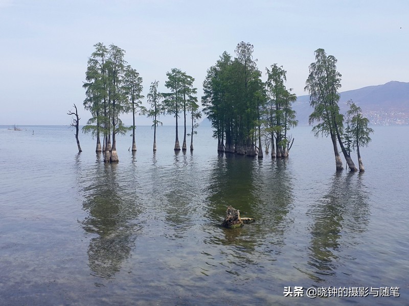 大理龙龛村的秘密,大理龙龛村