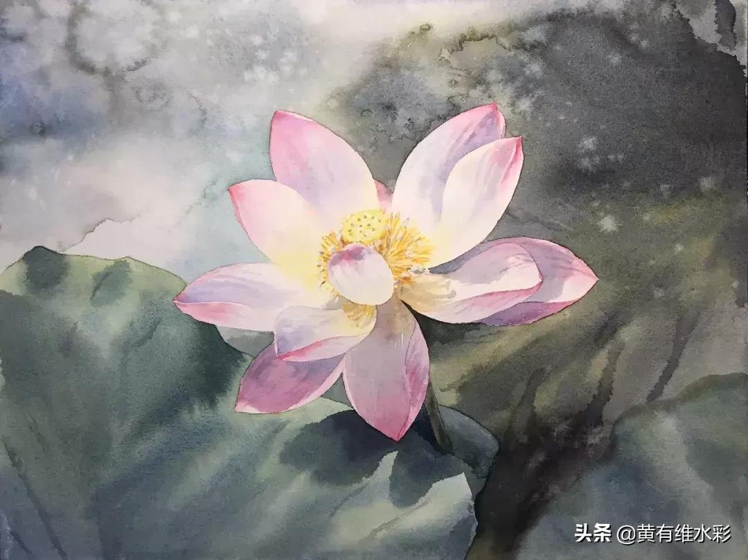 6-12岁荷花简单绘画,procreate荷花水彩教程