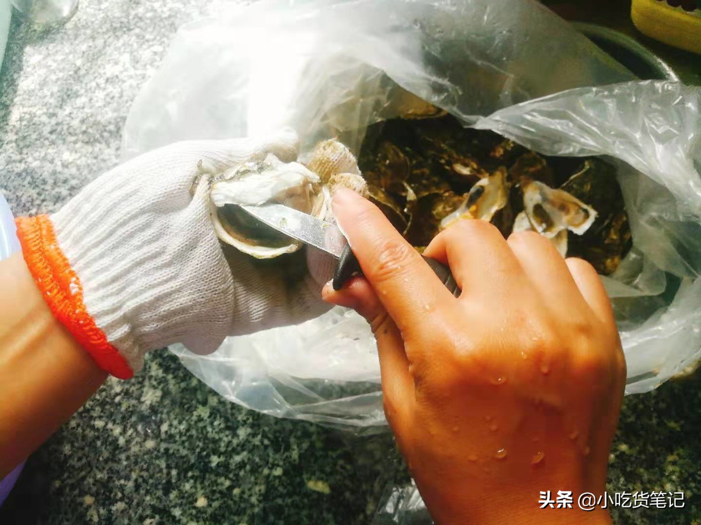 淘宝烤生蚝,生蚝1元1个店