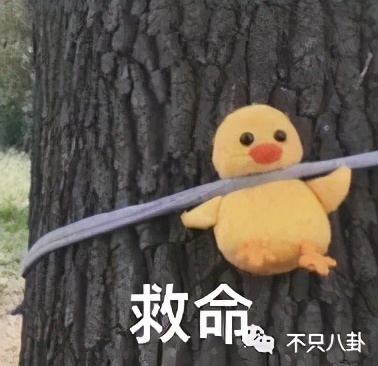 君九龄金瀚被吐槽的人物,君九龄金瀚帅不帅