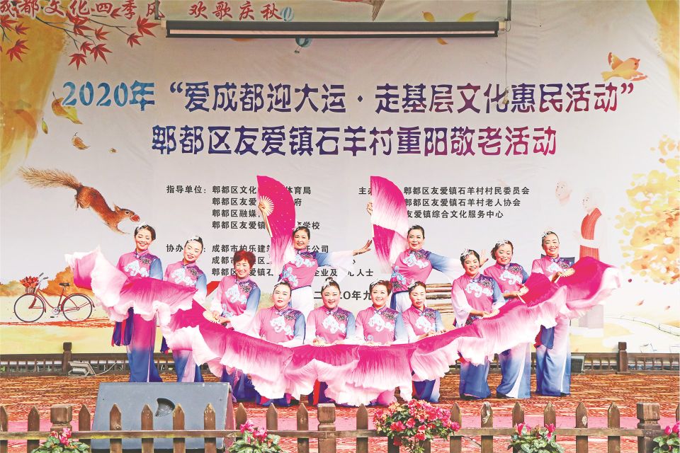 我们的节日重阳节心得体会300字,我们的节日重阳节志愿服务活动