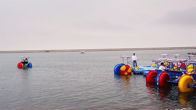 上海金山区有多少沙滩,上海金山沙滩2021门票多少钱