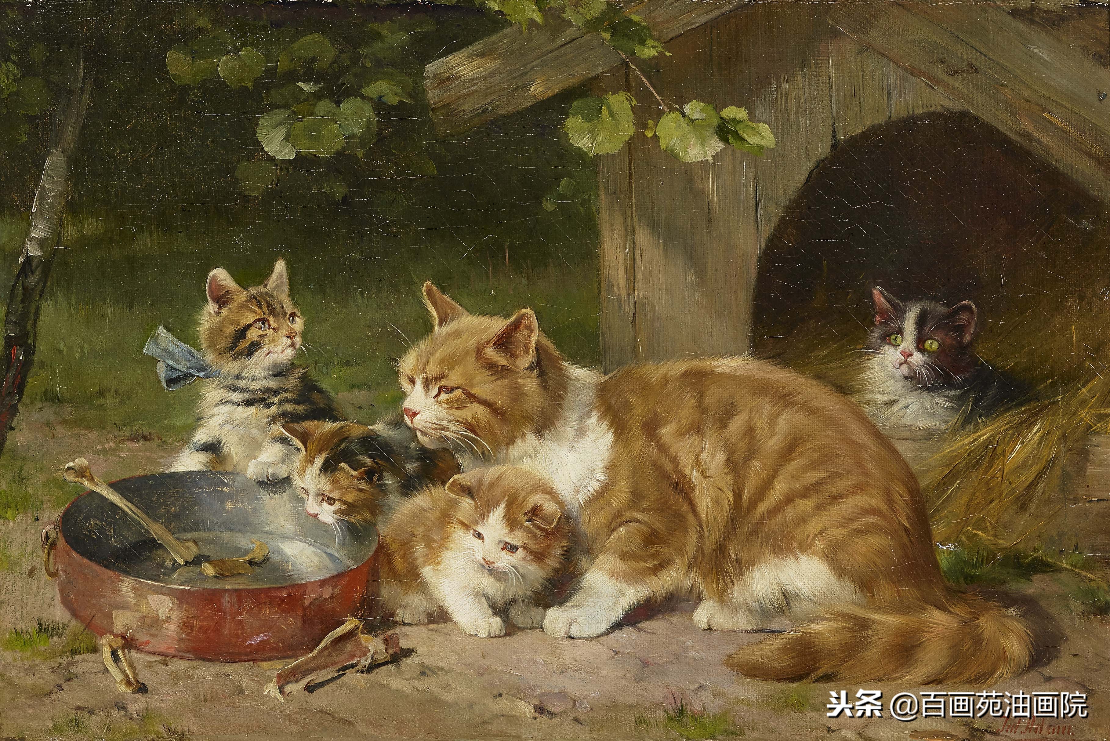 一步一步教你画油画动物,油画动物的绘画步骤