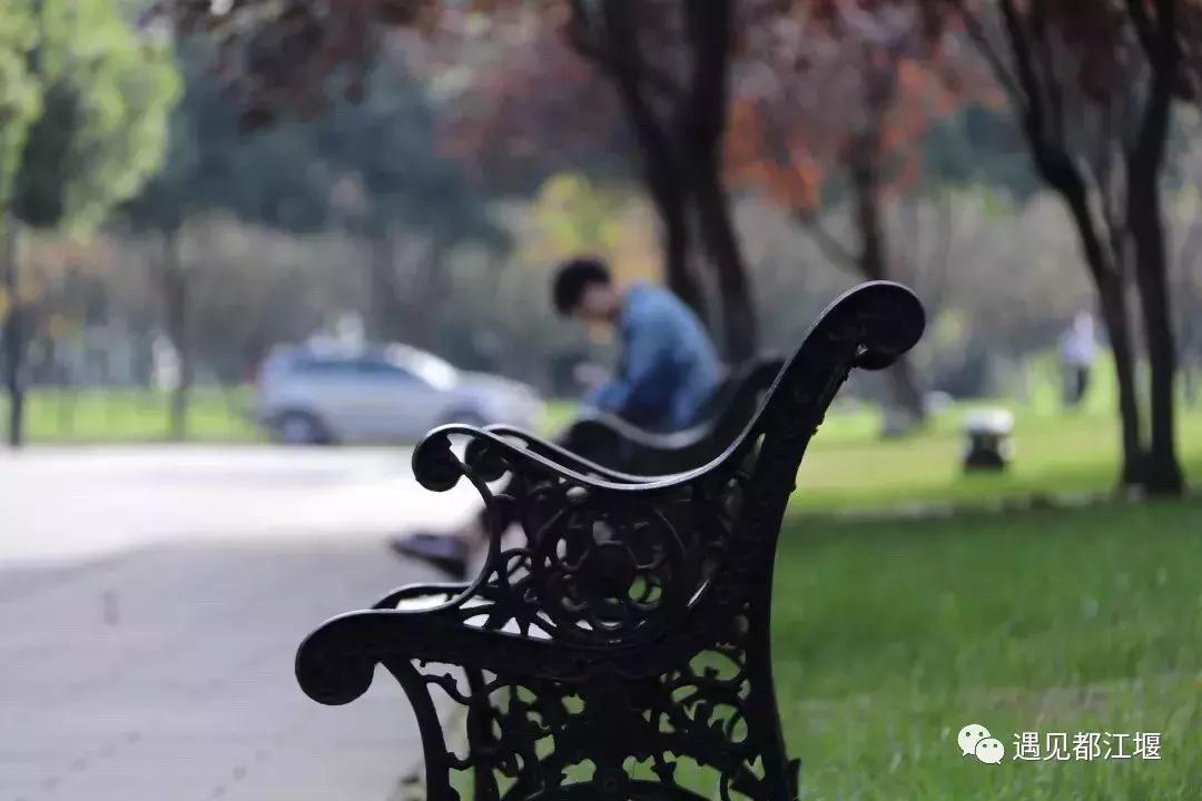 四川在青城山的大学,青城山可以去学习吗