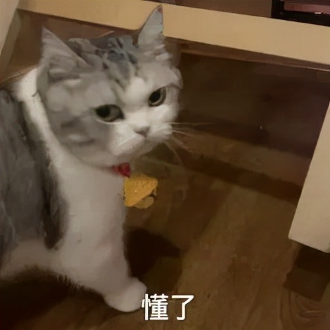 激素依赖性皮炎怎么才能彻底治好,激素可以用于过敏治疗吗