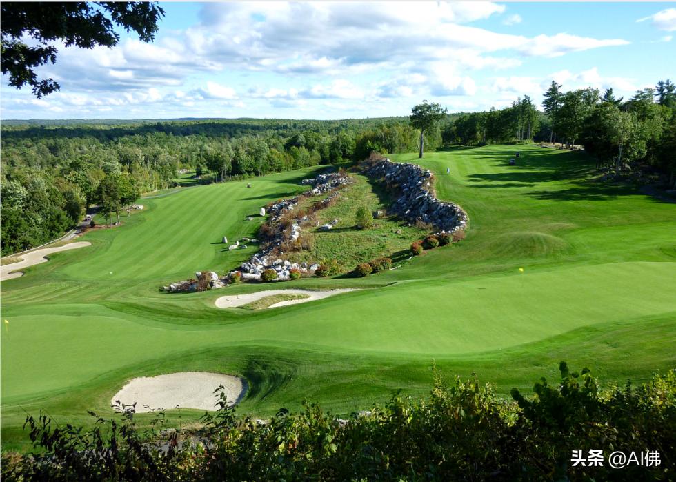 美国圆石滩高尔夫球场,美国高尔夫球场数量