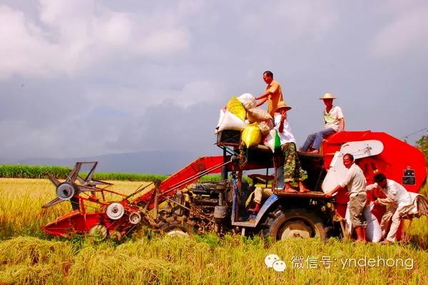 云南适合深秋游玩的地方,云南的秋天适合去哪些景点
