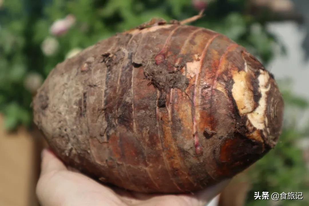 荔浦芋头甜品甜而不腻,家庭简单荔浦芋头的甜品