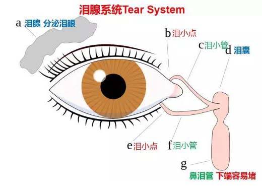 新生儿有很多眼睛分泌物?医生:家长要警惕这1种眼病