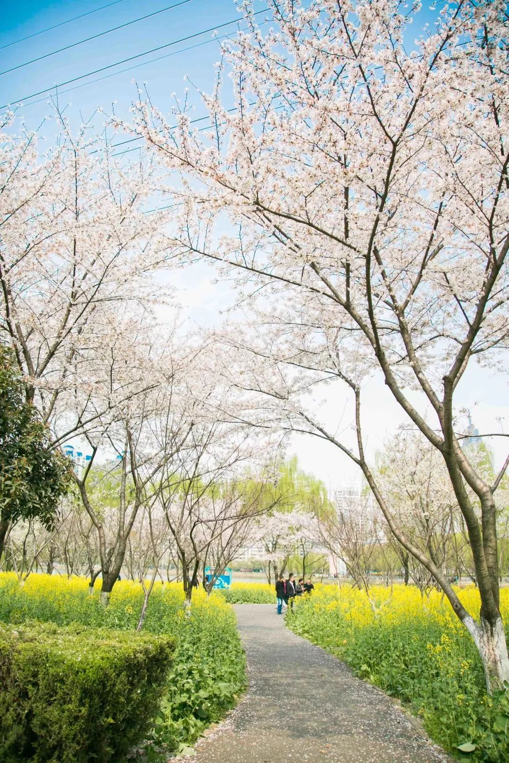武汉11月打卡景点和网红地,武汉50个值得打卡的地方