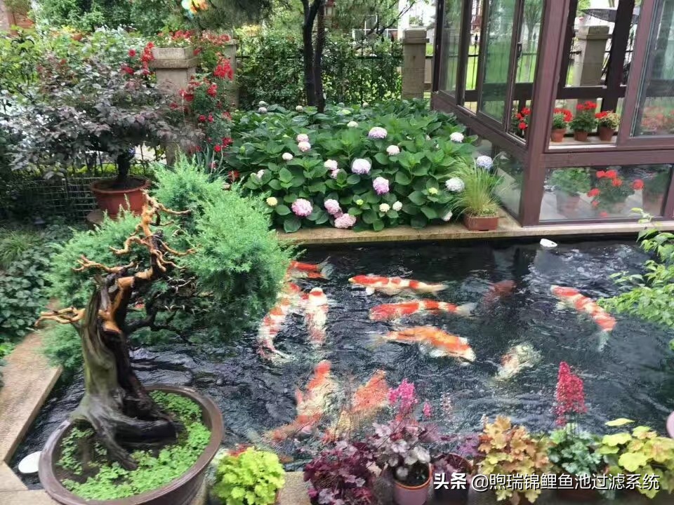 一个强大的过滤系统,一个过滤系统带多个鱼缸