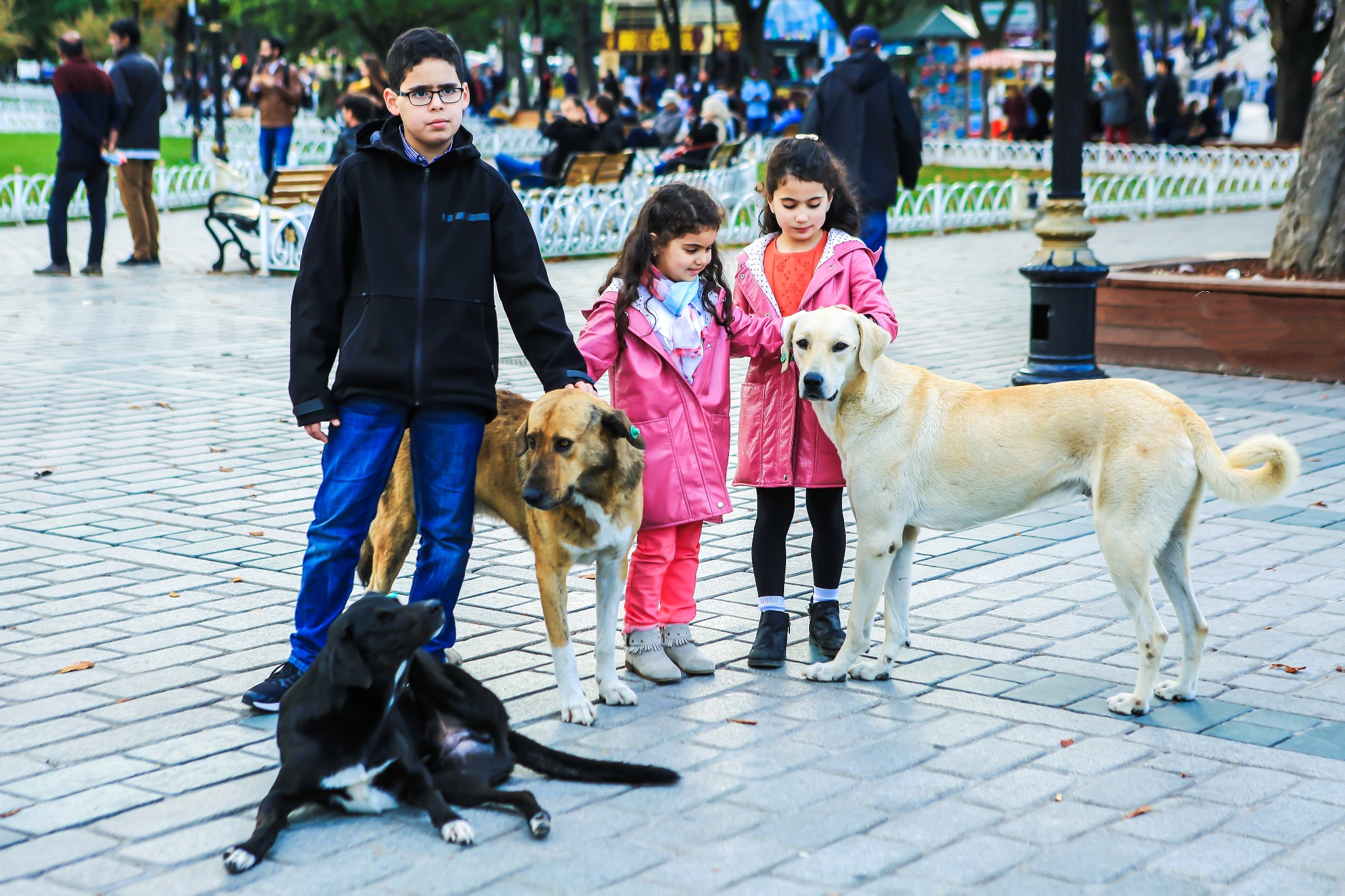 土耳其撑不住了！呼唤游客放心来，生病了医药费全包