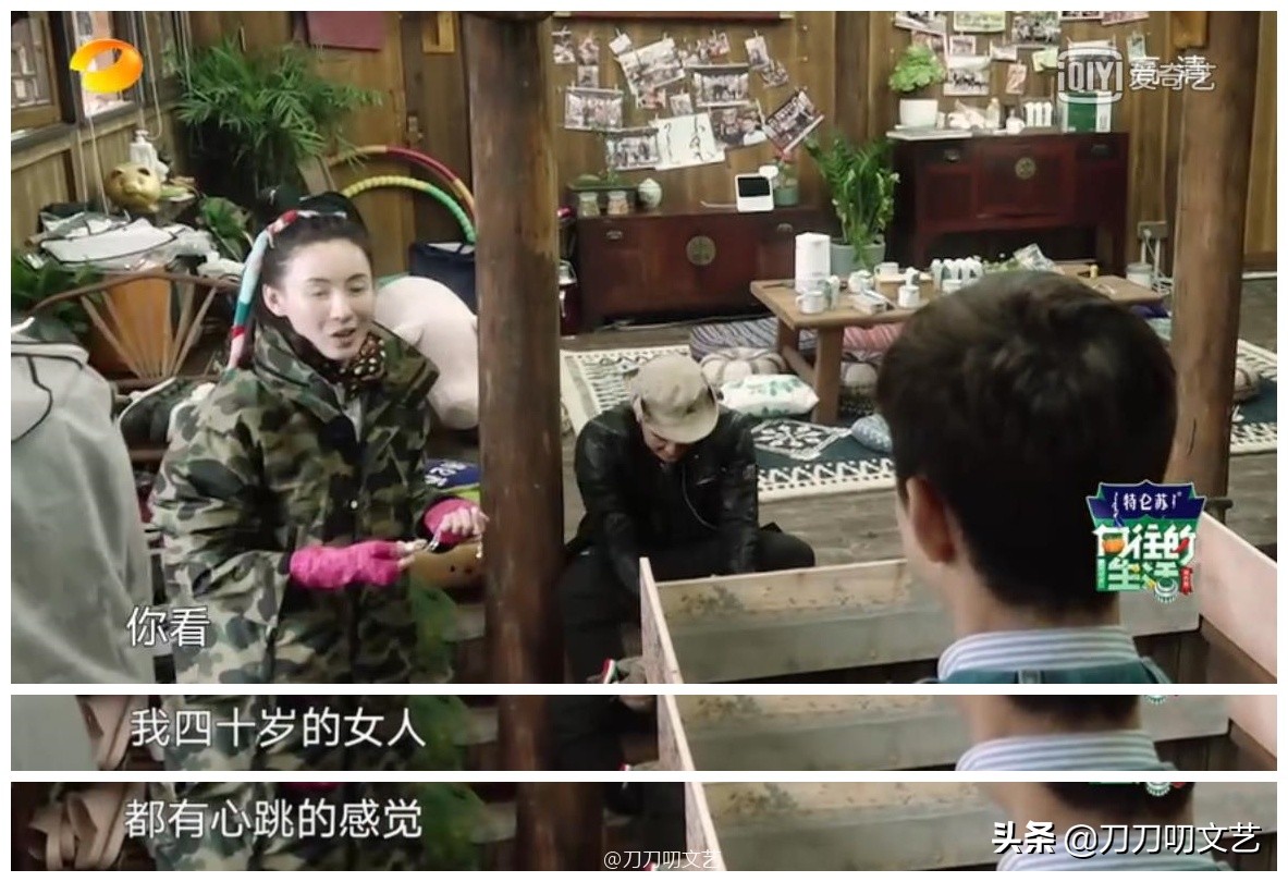 张柏芝送礼物,陈飞宇张柏芝综艺视频