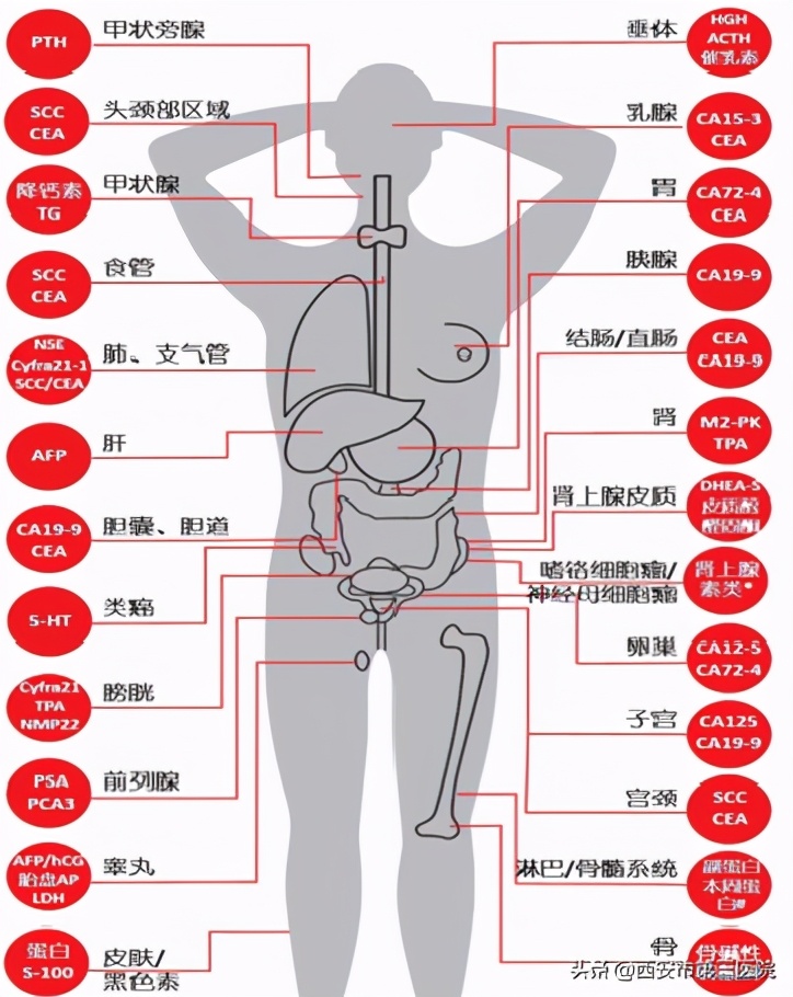 中国抗癌协会科普国际癌症日,世界抗癌日科普内容