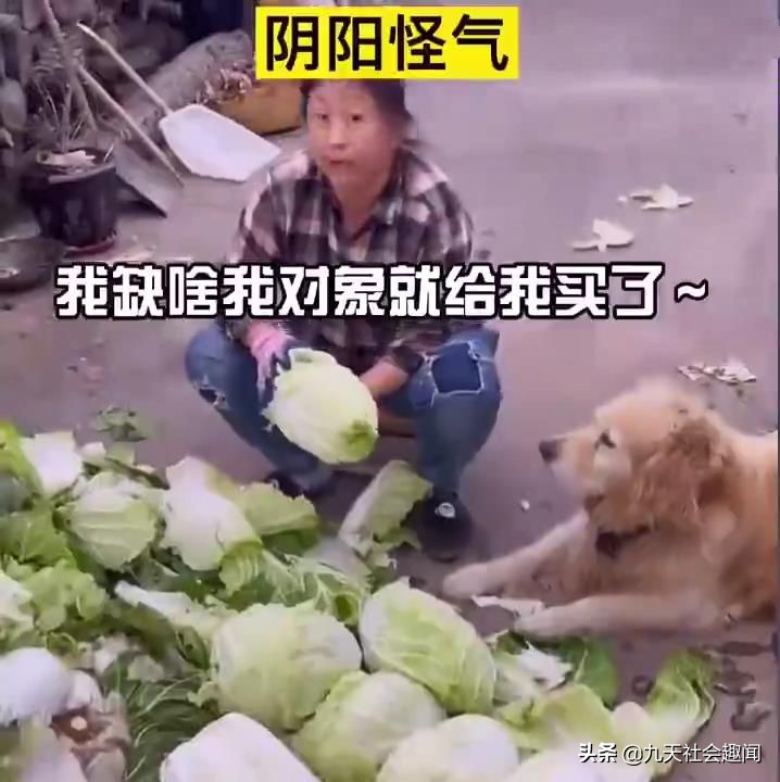 东北大妈催婚女儿搞笑对话,东北大妈催婚老闺女