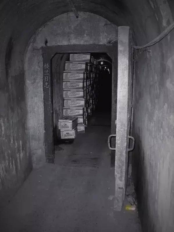 我从玉门来九(凌云之志)