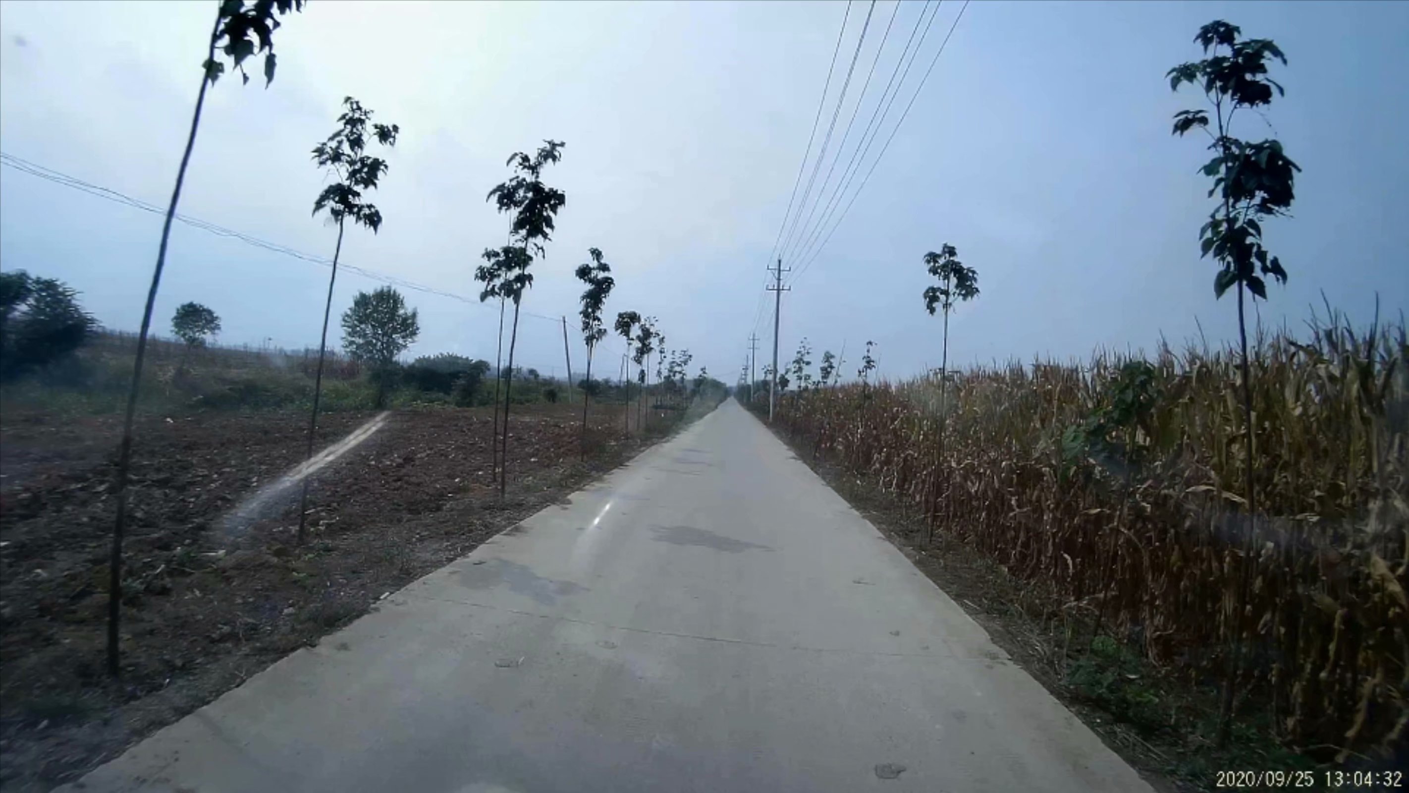 俞伯牙墓为什么在固镇,俞伯牙墓出土