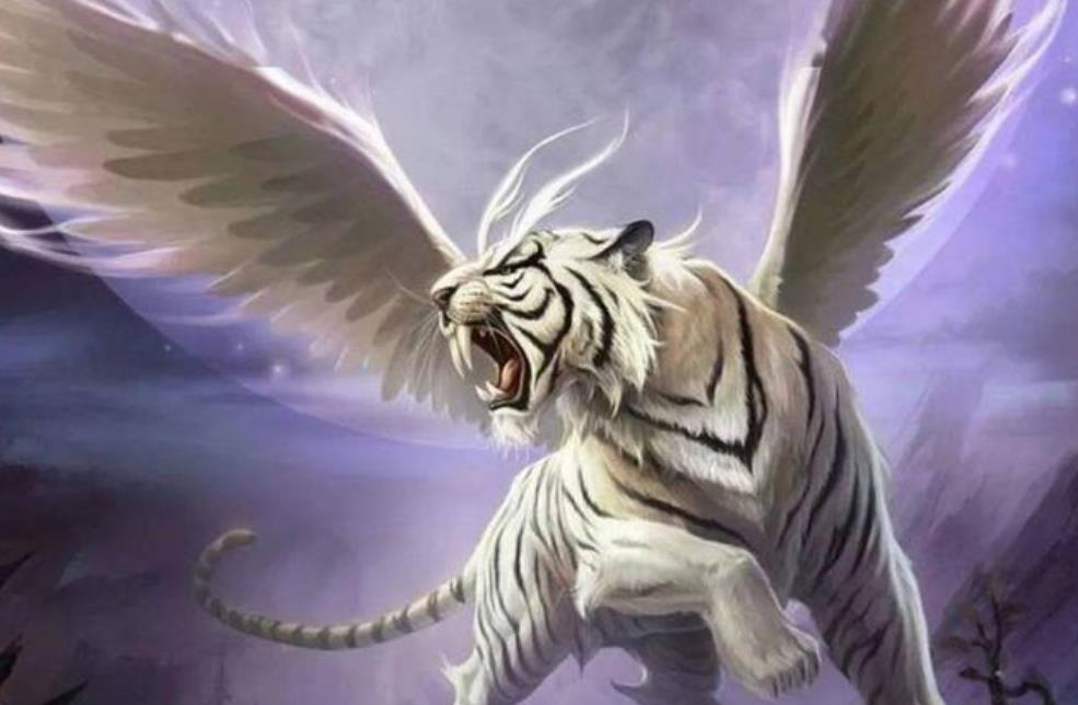 龙长虎短好不好,龙长虎短好还是龙短虎长好