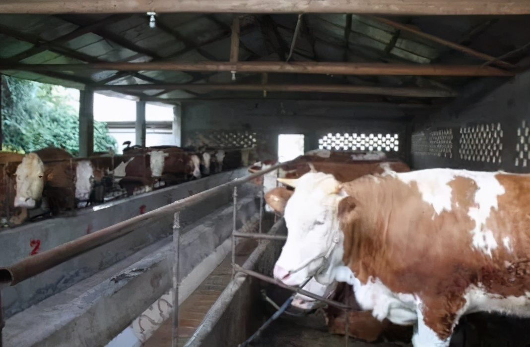 绛犵墰,绛犵墰闆嗗洟涓婂競