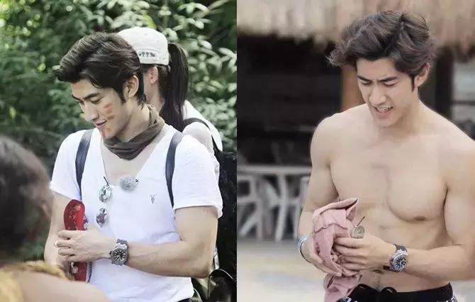 皇家橡树属于什么类型,皇家橡树怎么样值得买吗