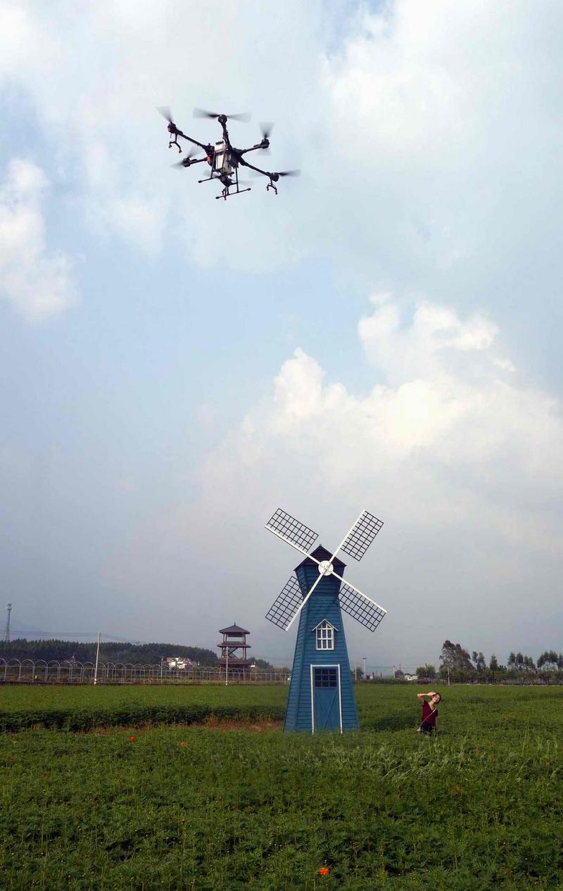 粤港澳大湾区自媒体访韶关：稻花香里说乐昌丰年