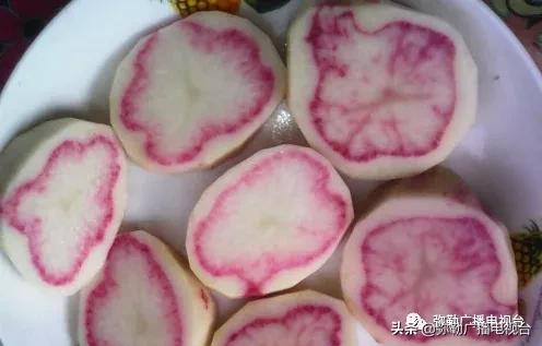 卖火了！弥勒紫色“将军芋”！政府包了