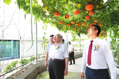 万达新建文旅项目,万达升级改造