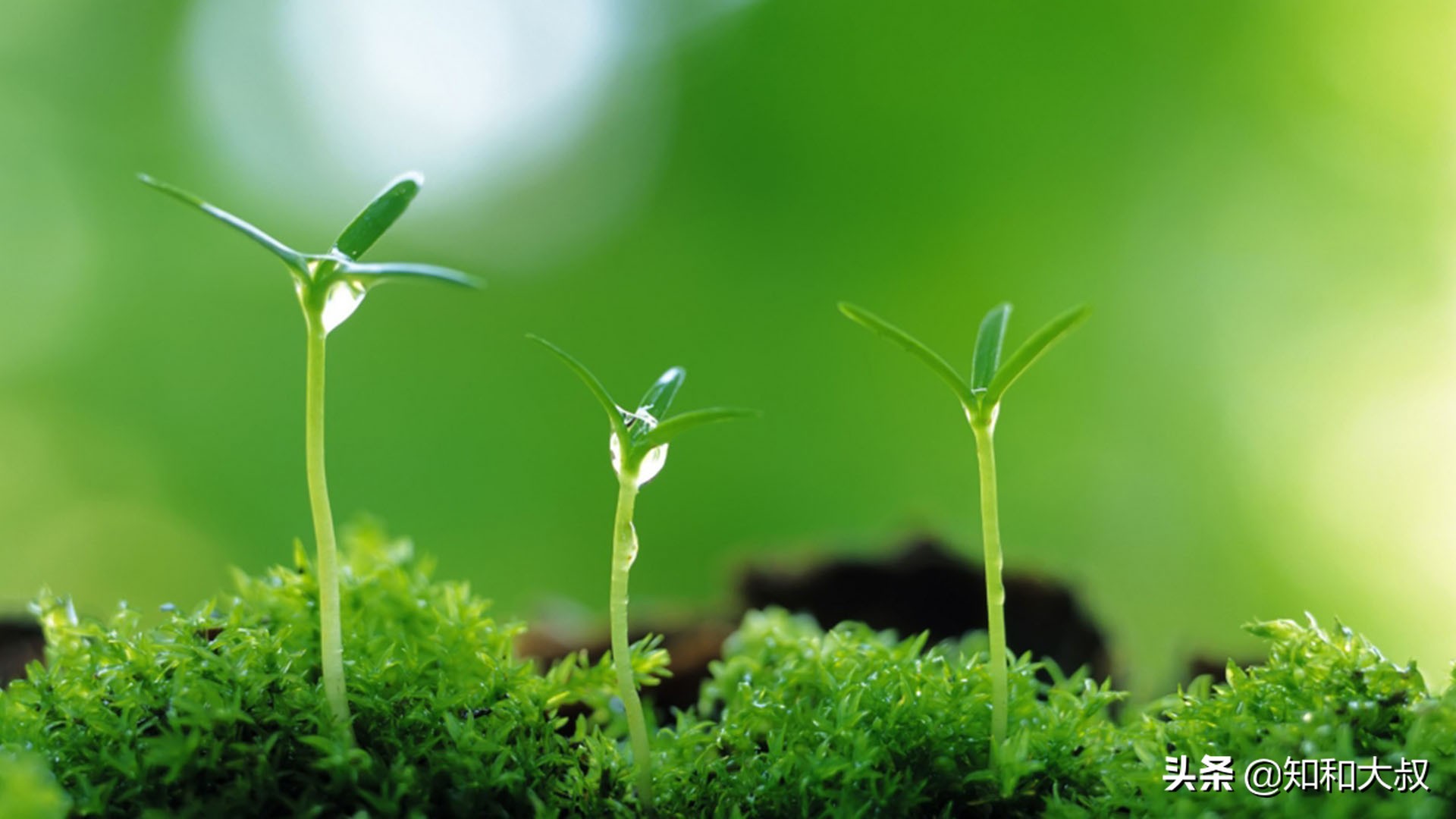 不哭不闹，一个女人伤透了心，反而会是这样