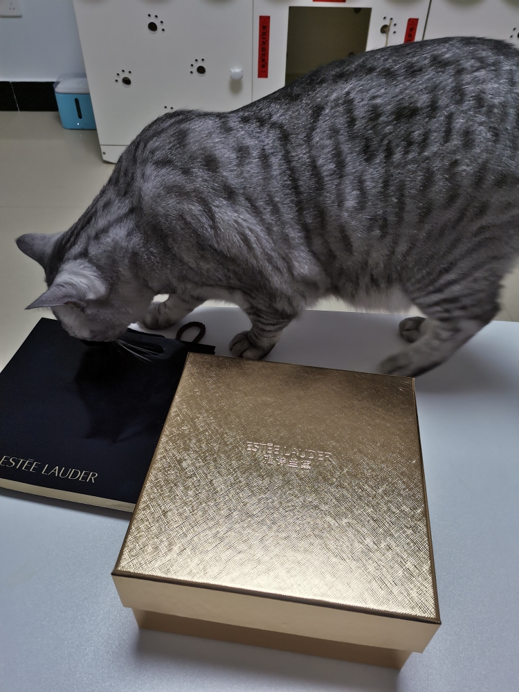 雅诗兰黛小棕瓶紧致精华,雅诗兰黛小棕瓶精华适合肤质