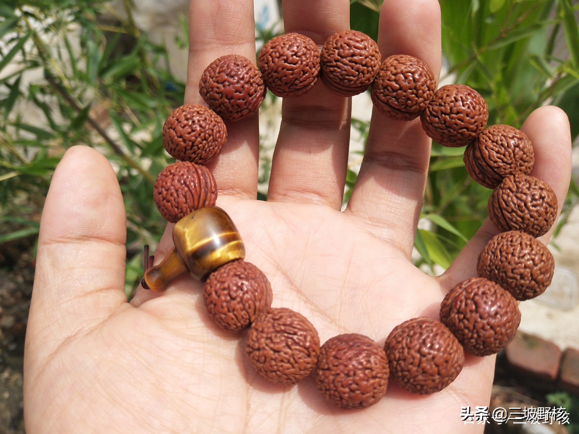 蚂蚁纹西瓜纹火焰纹,桃核蚂蚁纹和荔枝纹的区别