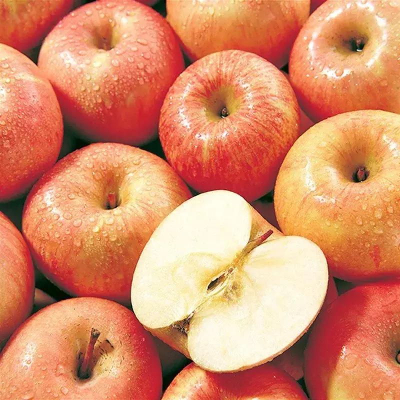 山东7月份有哪些水果可以采摘,山东10月份有什么水果可以采摘