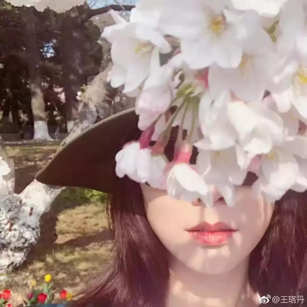 前方高能预警,前方高能预警有多高能