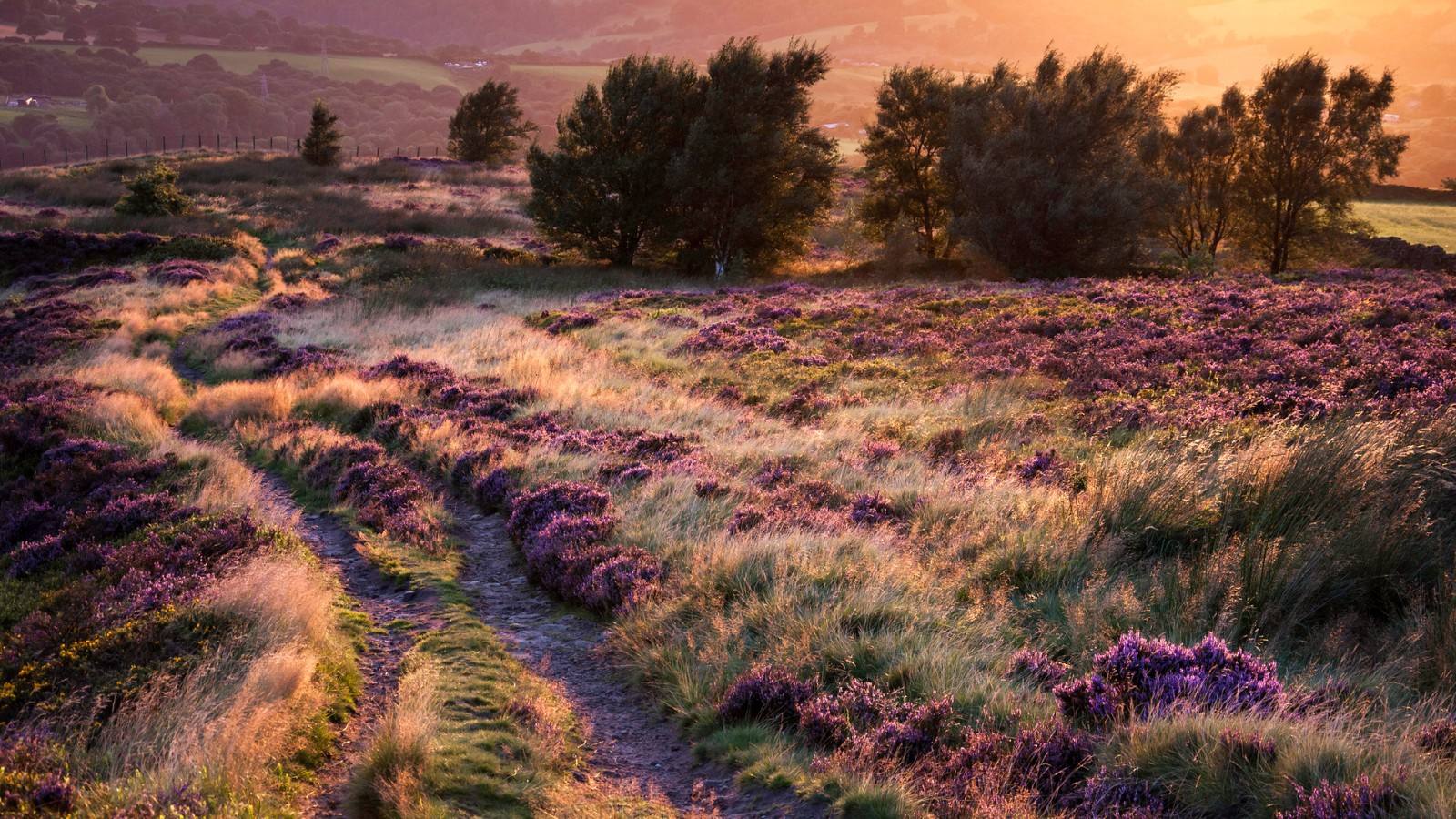 市盈率低于多少才有投资价值,市盈率与投资价值的关系