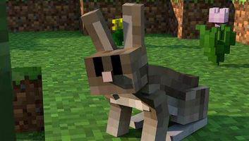 命名牌彩虹羊彩蛋,我的世界命名牌彩蛋大全