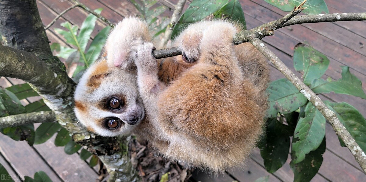 云南旅游昆明普洱西双版纳路线,西双版纳自驾游最佳路线攻略