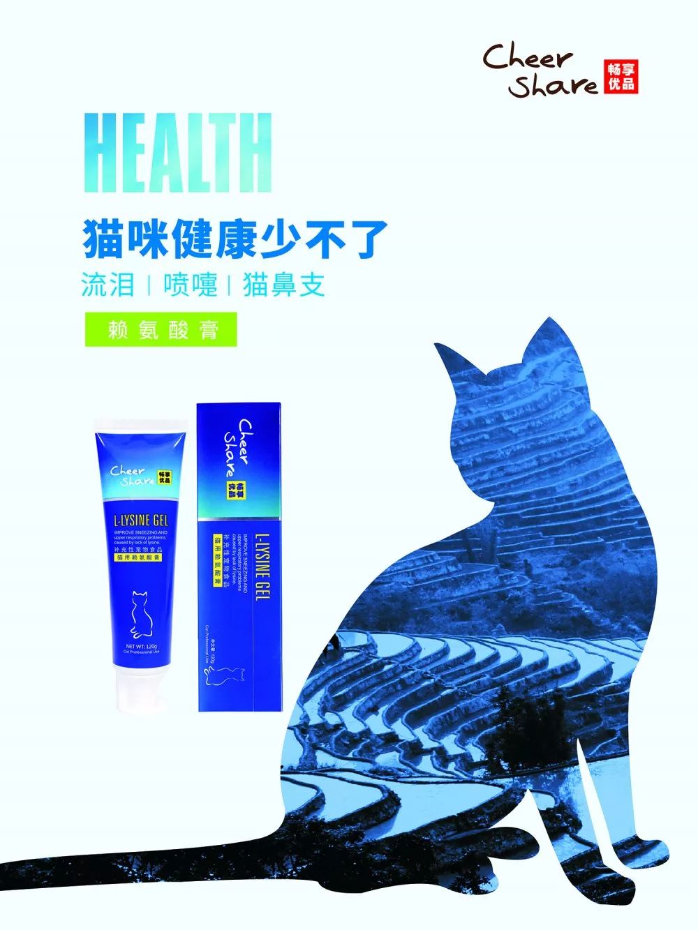 「畅享养宠」猫耳朵热得厉害，是发高烧了吗？