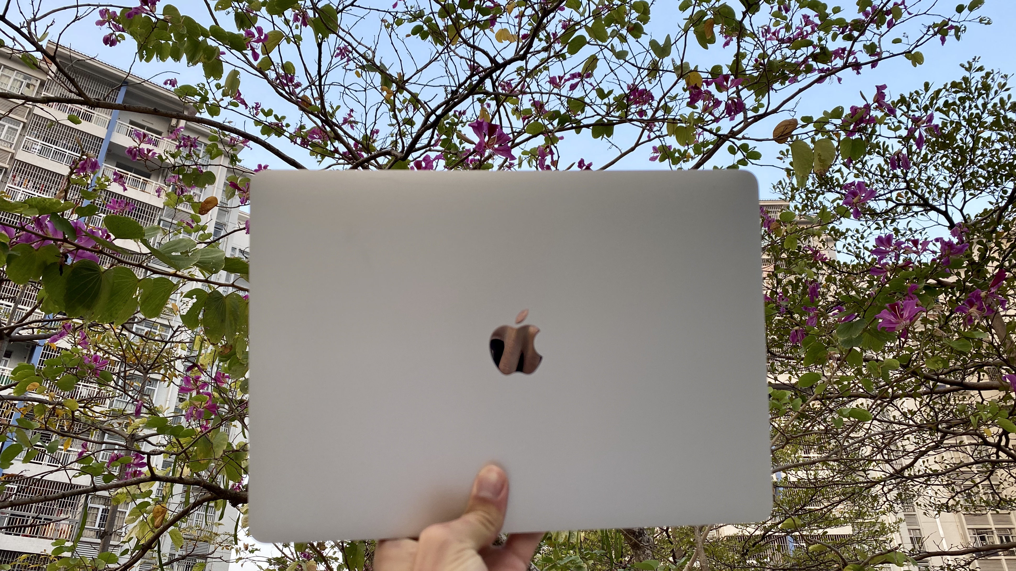 macbook学习推荐,macbook入手指南