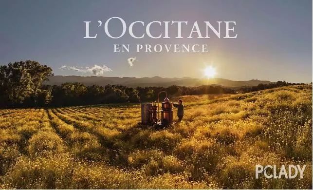 No.173油皮省事的泡沫洁面？欧舒丹蜡菊适合你