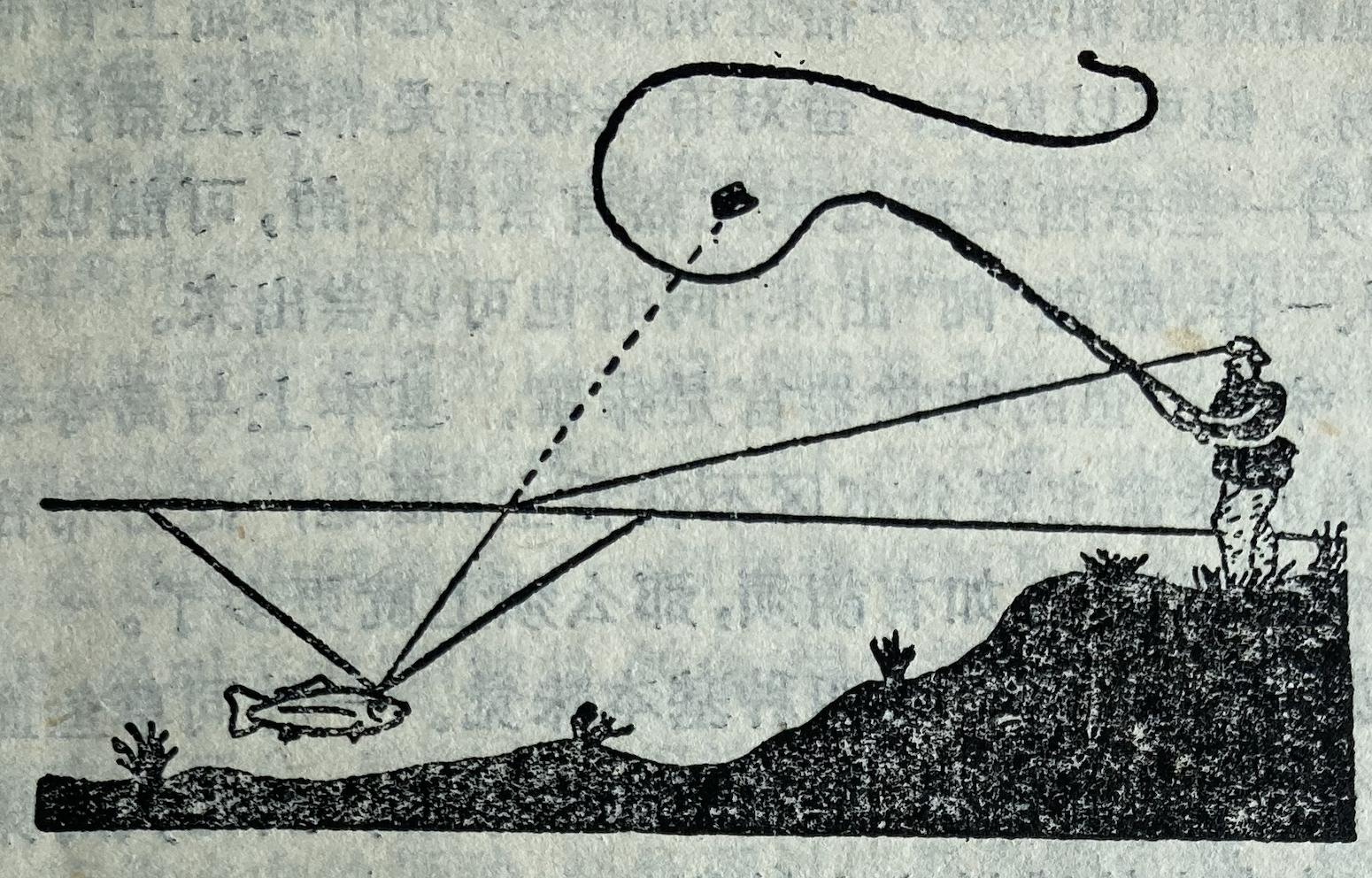 鱼的正确钓法和技巧,鱼入门基础知识