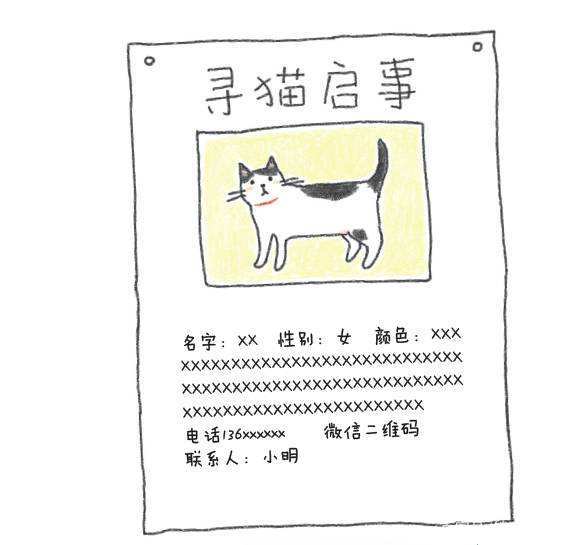 猫咪走失了怎么办？小编头秃整理的方法，试试灵不灵