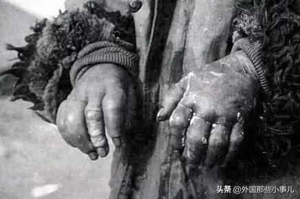 731部队集体逃脱制裁之谜,731部队逃脱制裁之谜