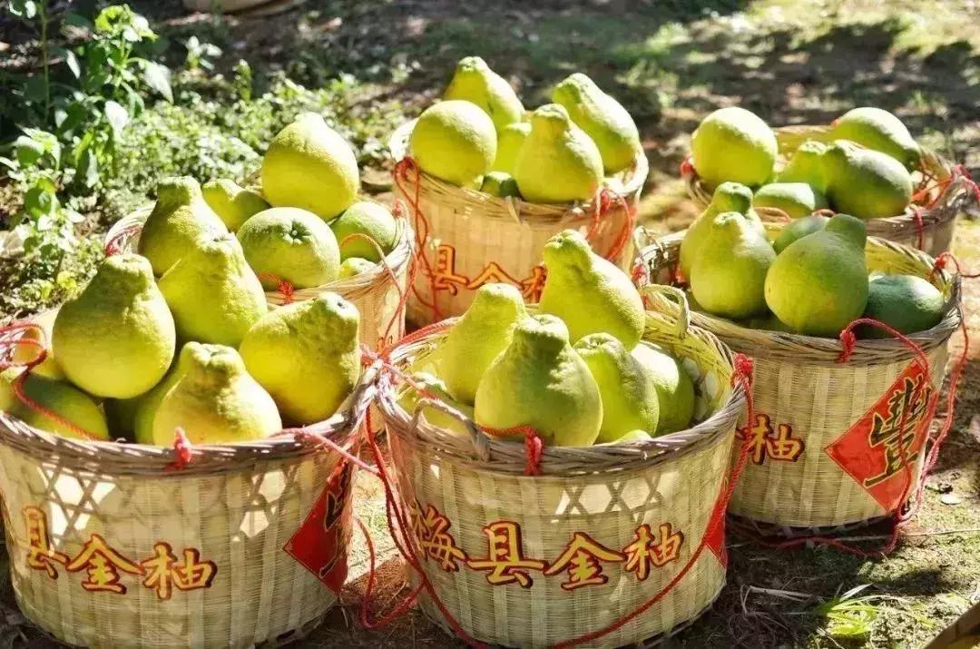 梅州华侨之乡视频,梅州文化之乡