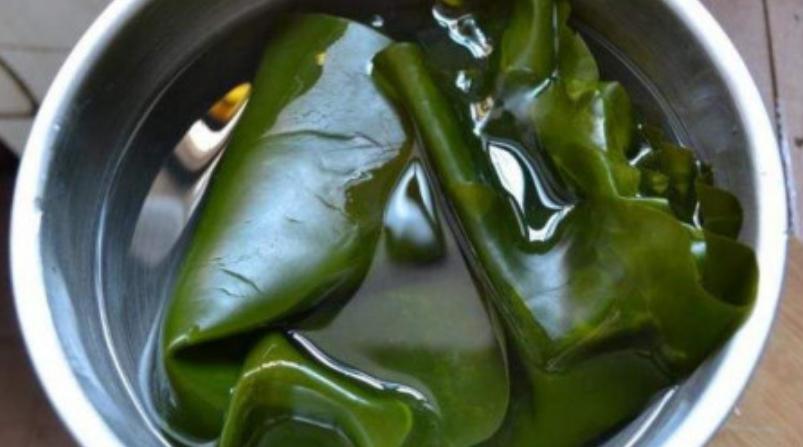 干海带直接煮和泡发,干海带直接热水煮煮不熟怎么办