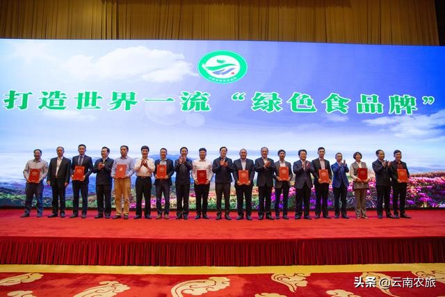 云南名贵特产排名前十名,云南十佳茗品