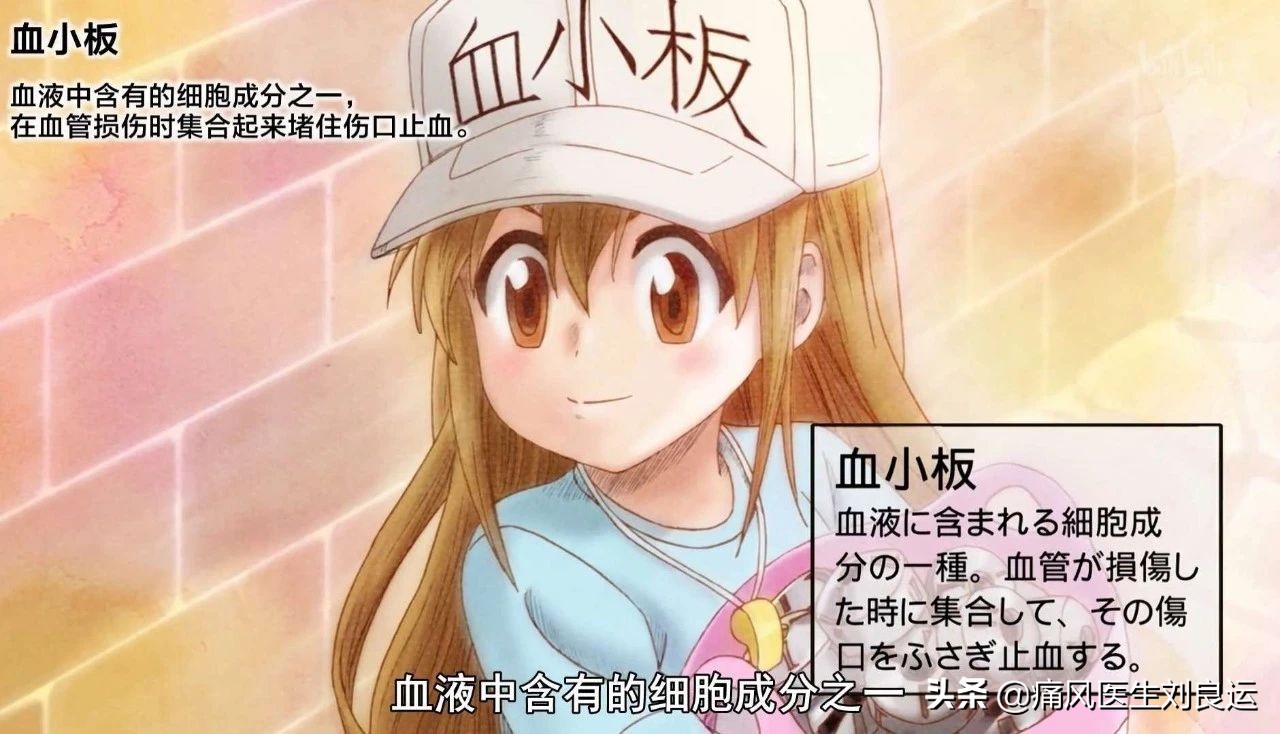 血常规crp的报告主要看什么意思,六个月宝宝体检血常规报告怎么看