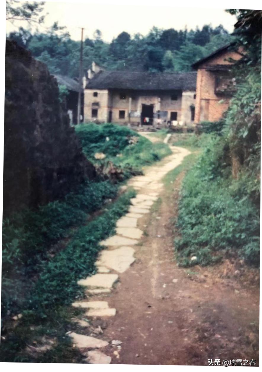 樟木镇革命先烈,玉林樟木罗冲革命先烈