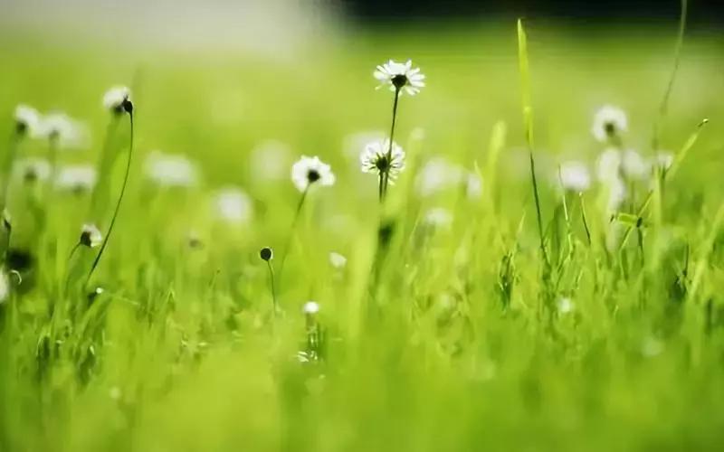 五论学习贯彻习*平近**总书记在纪念五四运动100周年大会上的重要讲话精神