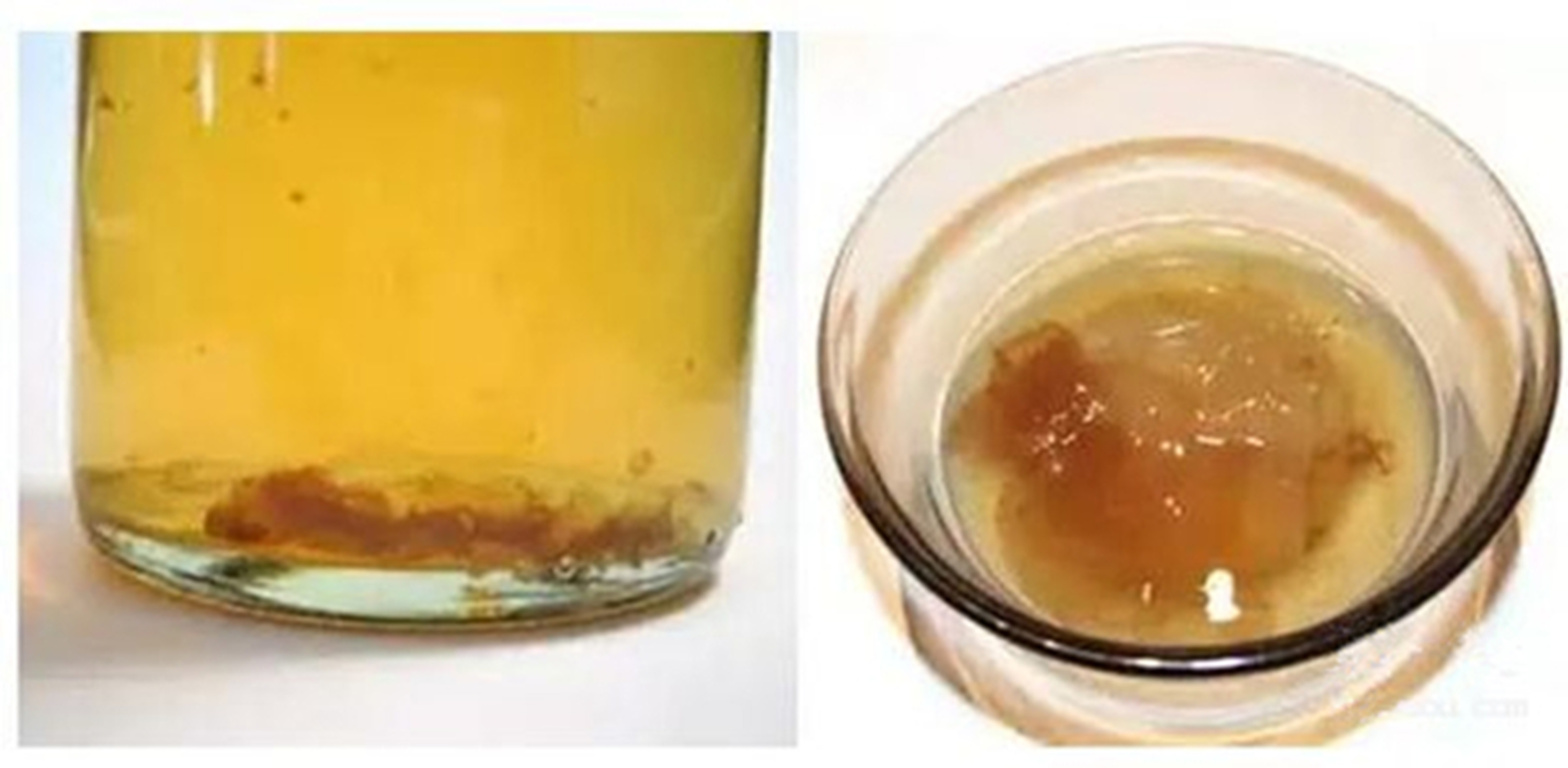 可以长期储存的葡萄酒有哪些标志,储存的酒中途可以打开吗