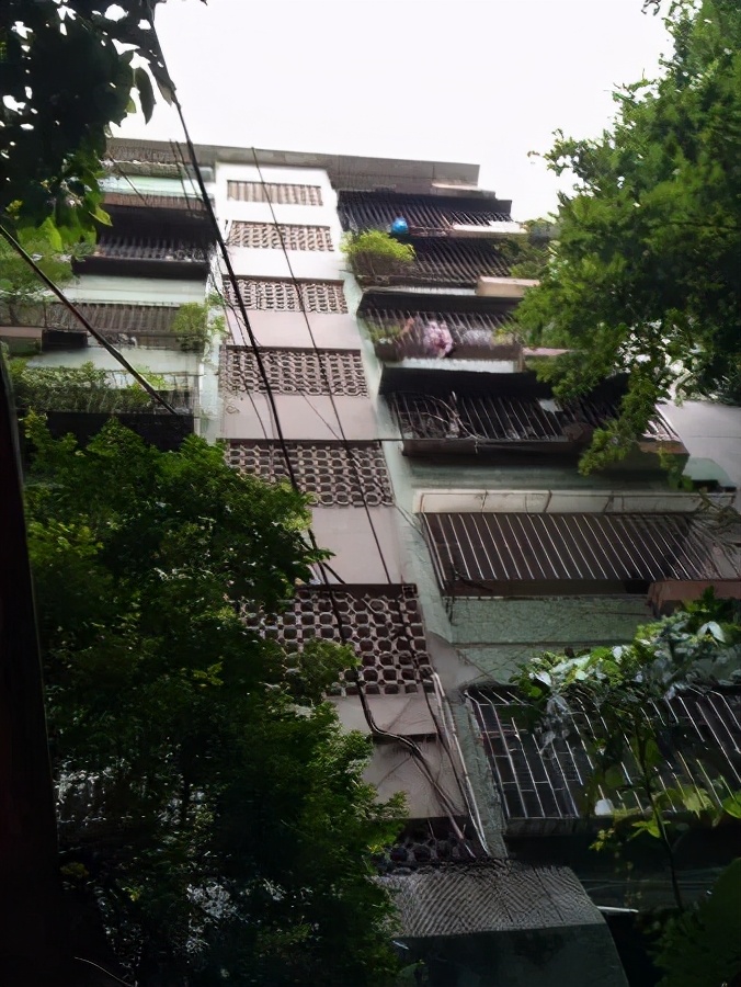 中星小学,广州市越秀区中星小学学位房