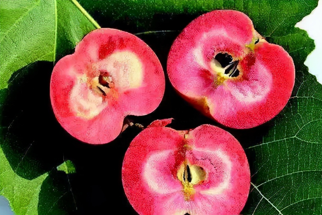 脆甜苹果新鲜水果,脆甜的苹果有什么品种